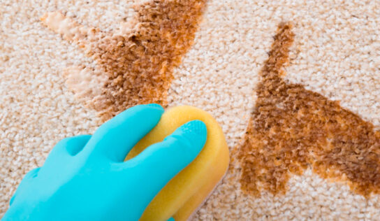 ¿Cómo limpiar alfombras y moquetas?