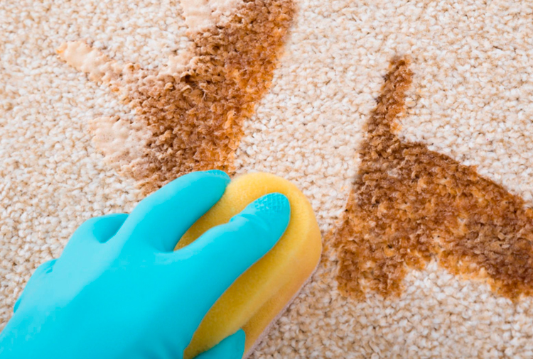 Limpieza eficaz de alfombras y moquetas