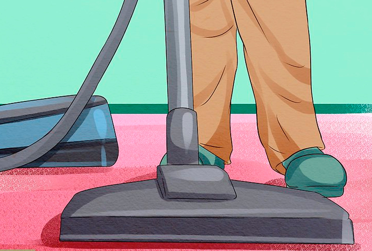 ¿Cómo limpiar las alfombras y moquetas?