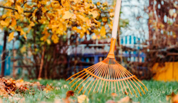 ¿Cómo preparar eficazmente el jardín para la primavera?