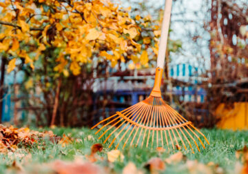 ¿Cómo preparar eficazmente el jardín para la primavera?