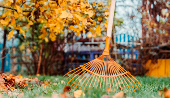 ¿Cómo preparar eficazmente el jardín para la primavera?