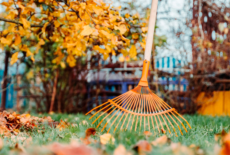 ¿Cómo preparar eficazmente el jardín para la primavera?