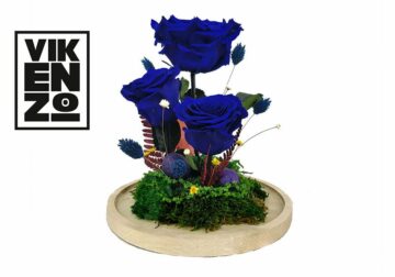 Vikenzo Nature explica como las flores preservadas son la tendencia en decoración para el hogar