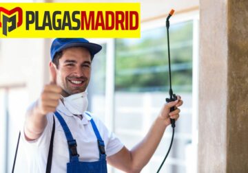 Plagas Madrid explica los factores a considerar al elegir una empresa de control de plagas