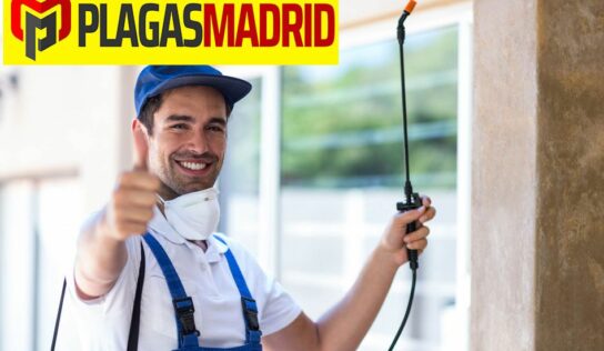 Plagas Madrid explica los factores a considerar al elegir una empresa de control de plagas