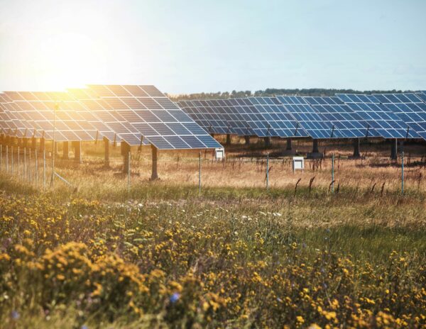 POWEN explica cuál es la potencia adecuada en los paneles solares del hogar