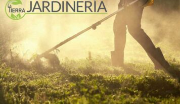 Desbroce de fincas como medida preventiva para evitar incendios, por La Tierra Jardinería