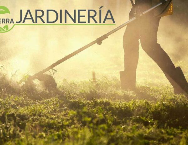 Desbroce de fincas como medida preventiva para evitar incendios, por La Tierra Jardinería