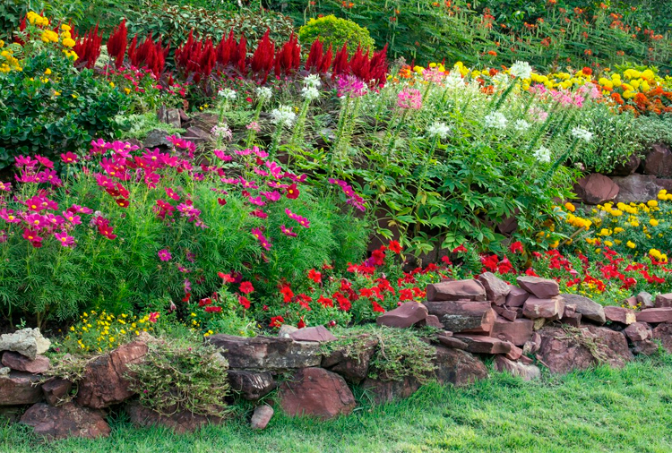Descubre los elementos que son tendencia en el diseno de jardines