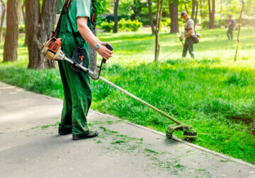 Terrenos limpios, terrenos seguros: la importancia del desbroce responsable