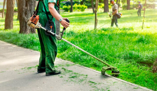 Terrenos limpios, terrenos seguros: la importancia del desbroce responsable