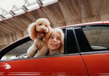 Mapfre lanza ReDrive, un nuevo servicio para operaciones de compraventa de vehículos entre particulares