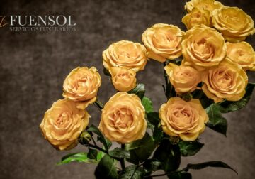 Fuensol conmemora dos décadas de trayectoria en el sector funerario con el lanzamiento de nuevos planes de planificación anticipada y renovación digital