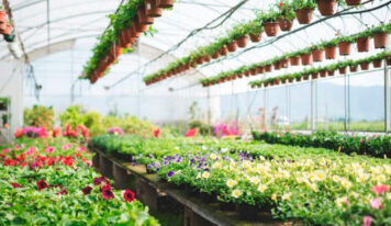 Conoce todos los servicios que puede ofrecerte un vivero