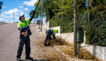 Mantenimiento inteligente: armonía entre poda y limpieza