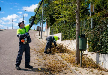 Mantenimiento inteligente: armonía entre poda y limpieza